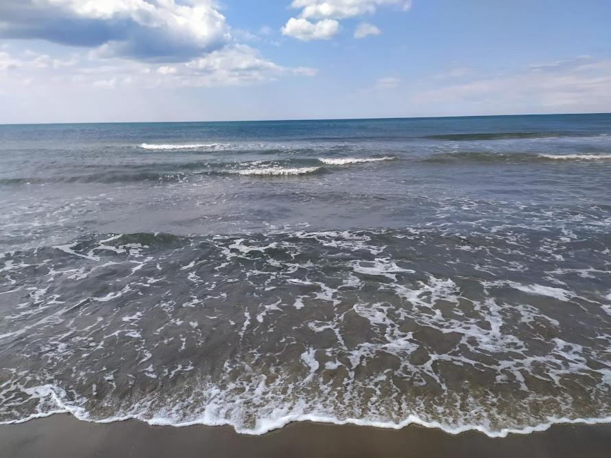 Hébergement de vacances Alamanda Du Roi - Le Grau-du-Roi